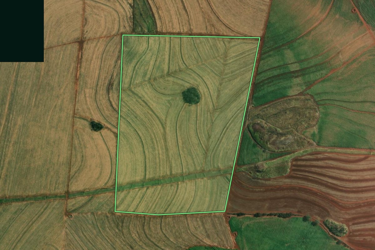 Imagem de satélite do imóvel rural em Boa Esperança do Sul (SP), com o contorno declarado no CAR desenhado por cima.