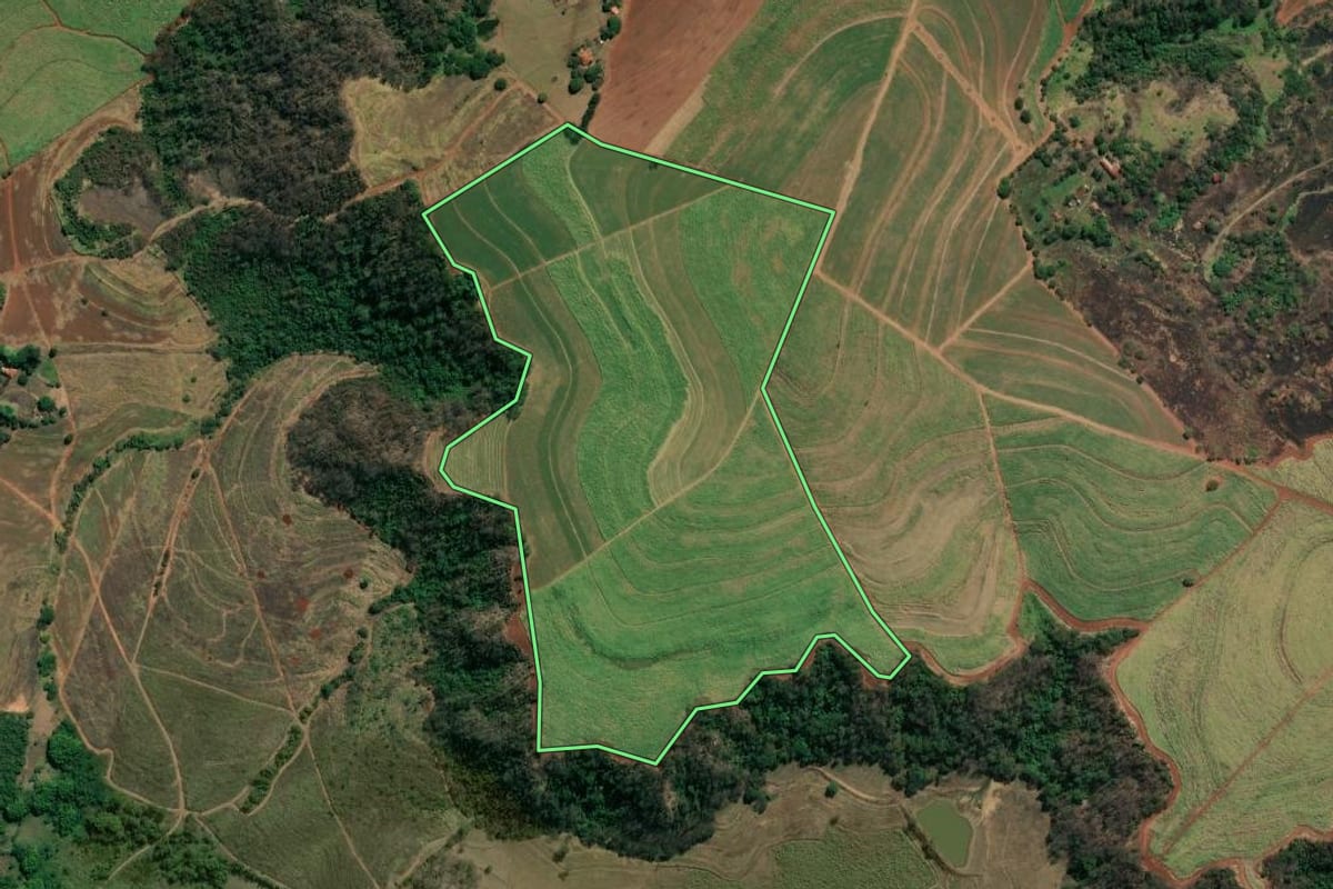 Imagem de satélite do imóvel rural em Boa Esperança do Sul (SP), com o contorno declarado no CAR desenhado por cima.