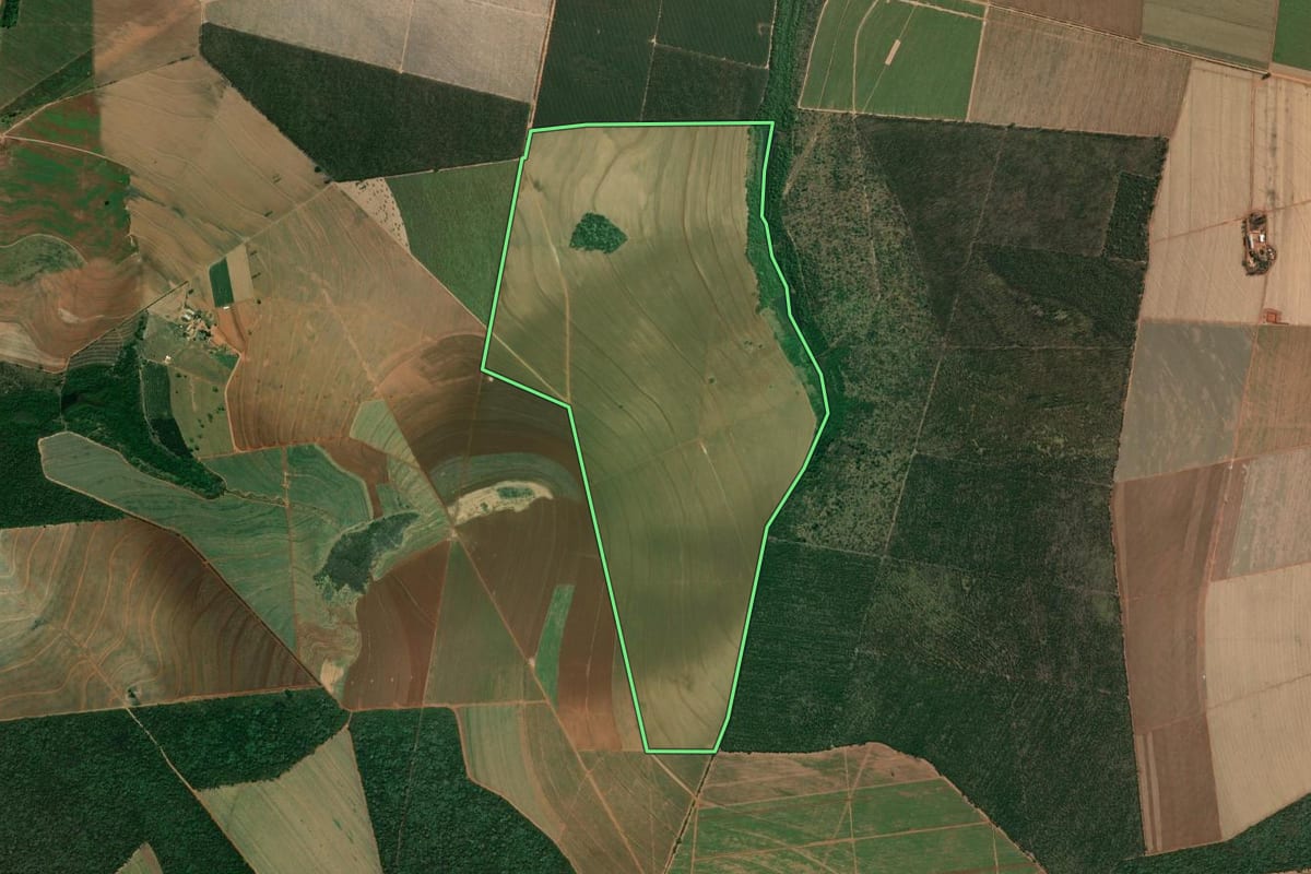 Imagem de satélite do imóvel rural em Boa Esperança do Sul (SP), com o contorno declarado no CAR desenhado por cima.