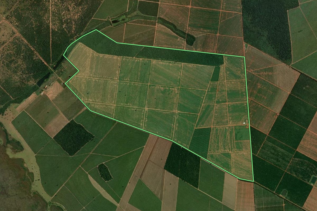 Imagem de satélite do imóvel rural em Boa Esperança do Sul (SP), com o contorno declarado no CAR desenhado por cima.