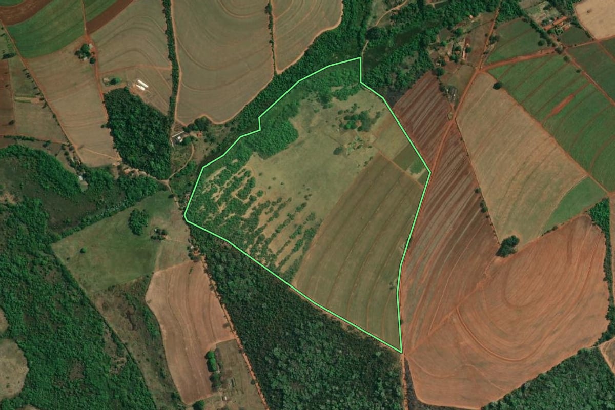 Imagem de satélite do imóvel rural em Boa Esperança do Sul (SP), com o contorno declarado no CAR desenhado por cima.