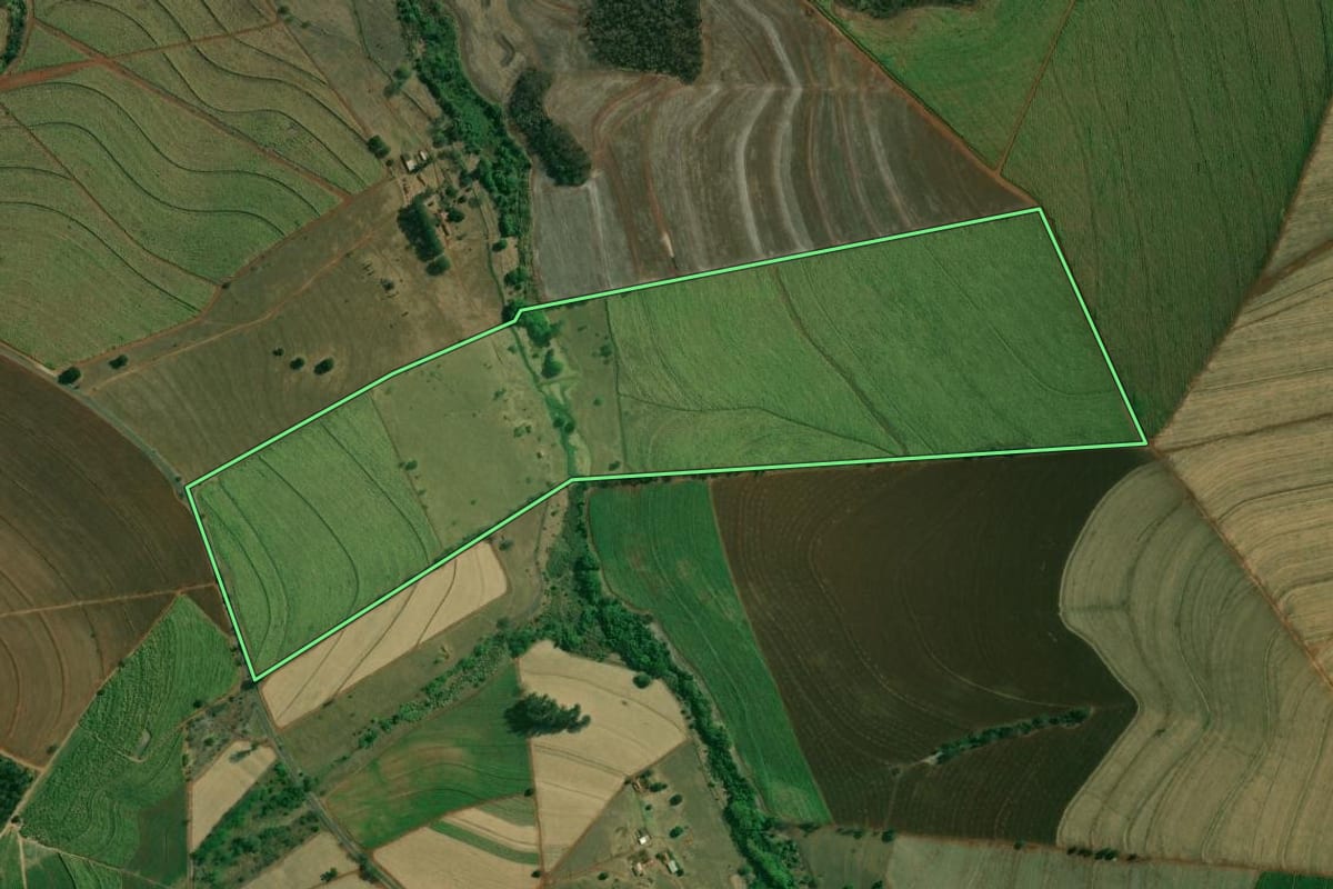 Imagem de satélite do imóvel rural em Boa Esperança do Sul (SP), com o contorno declarado no CAR desenhado por cima.