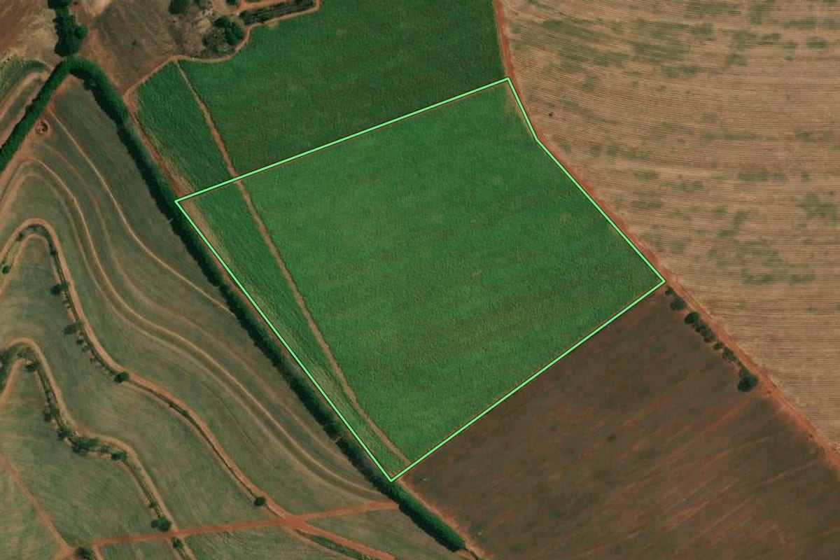 Imagem de satélite do imóvel rural em Boa Esperança do Sul (SP), com o contorno declarado no CAR desenhado por cima.