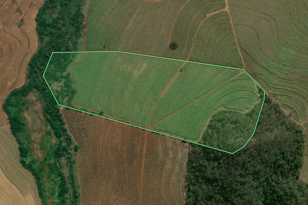 Imagem de satélite do imóvel rural em Bocaina (SP), com o contorno declarado no CAR desenhado por cima.