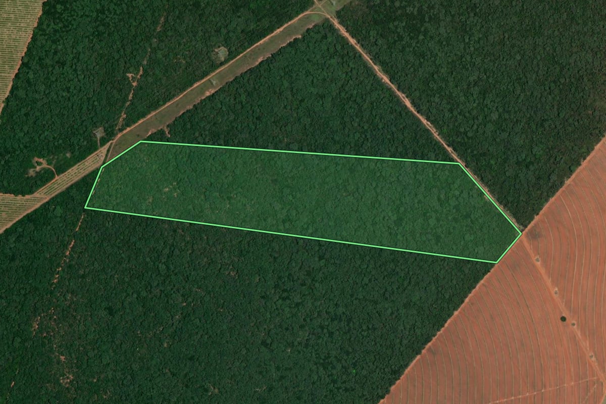 Imagem de satélite do imóvel rural em Bocaina (SP), com o contorno declarado no CAR desenhado por cima.