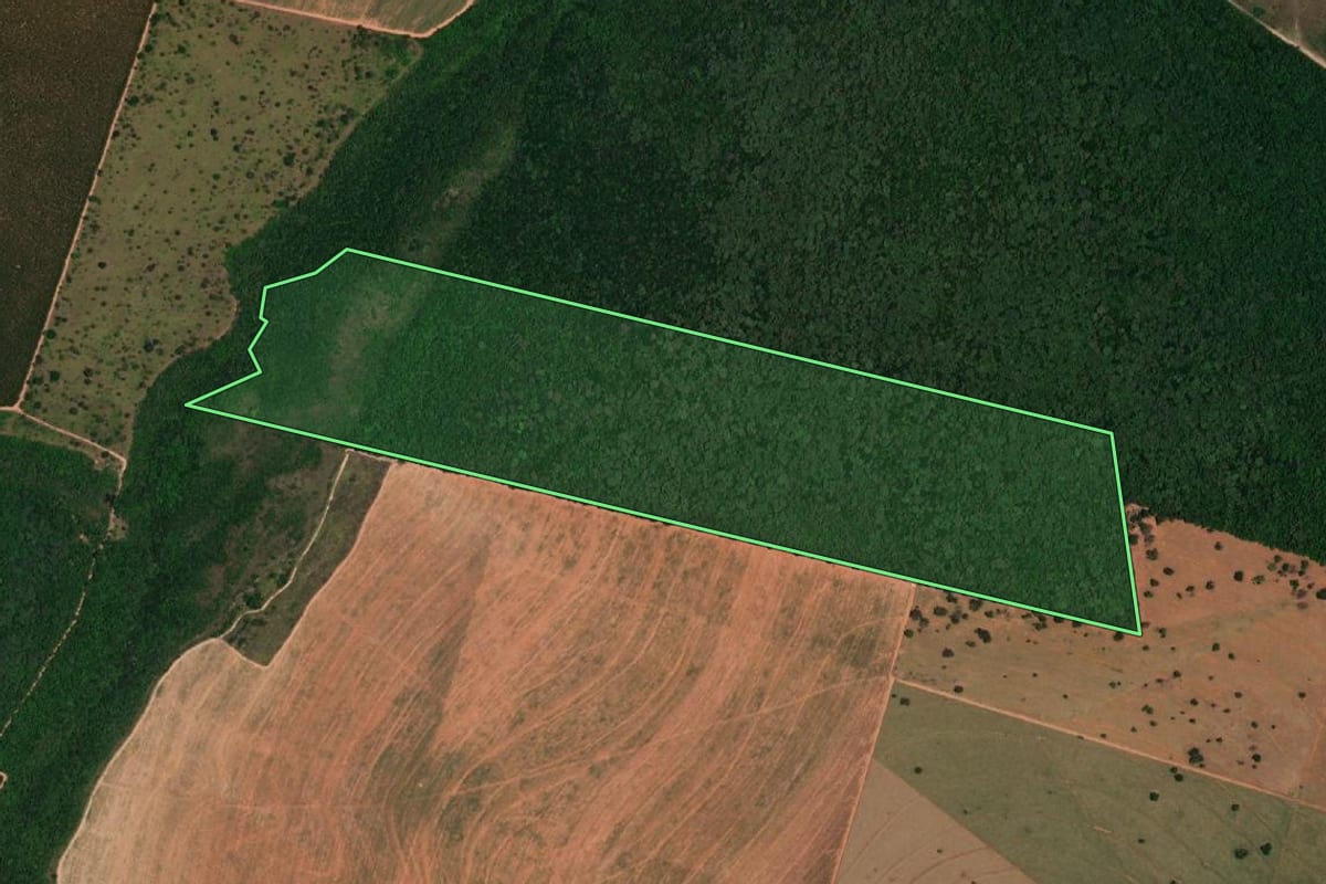 Imagem de satélite do imóvel rural em Bocaina (SP), com o contorno declarado no CAR desenhado por cima.