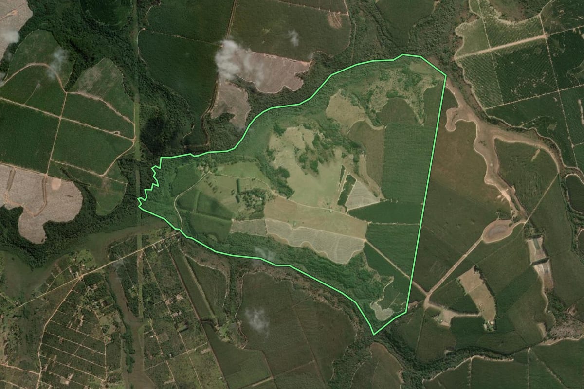 Imagem de satélite do imóvel rural em Bofete (SP), com o contorno declarado no CAR desenhado por cima.