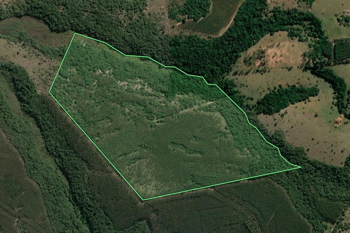 Imagem de satélite do imóvel rural em Bofete (SP), com o contorno declarado no CAR desenhado por cima.