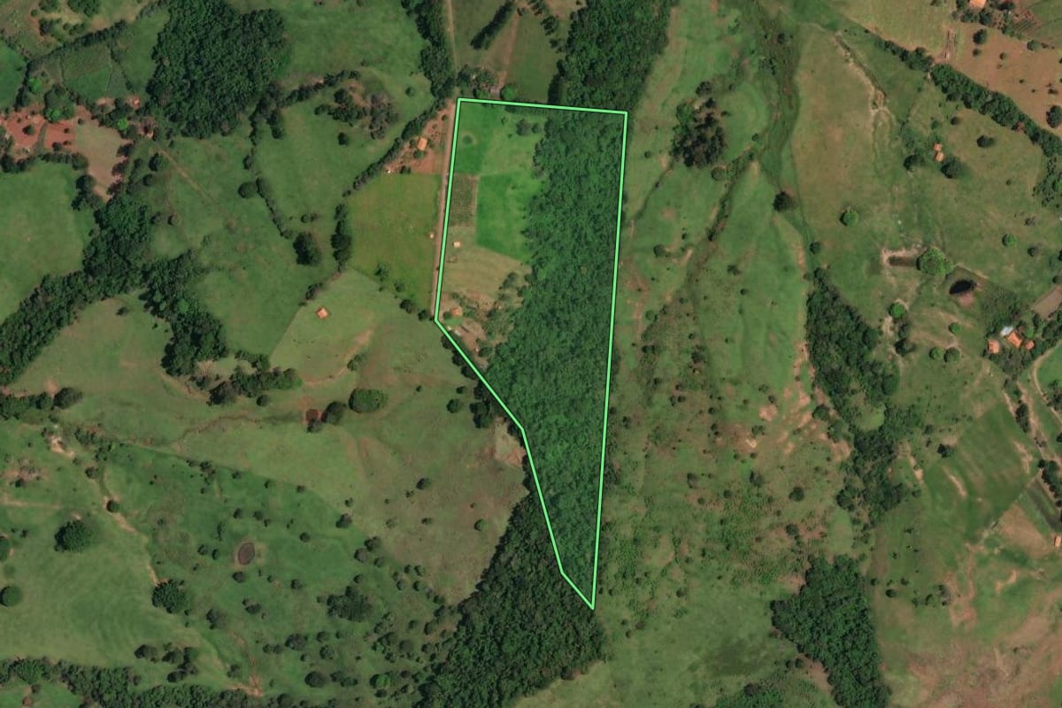Imagem de satélite do imóvel rural em Bofete (SP), com o contorno declarado no CAR desenhado por cima.