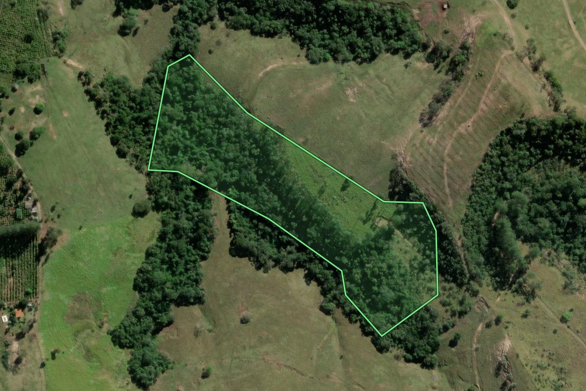 Imagem de satélite do imóvel rural em Bofete (SP), com o contorno declarado no CAR desenhado por cima.