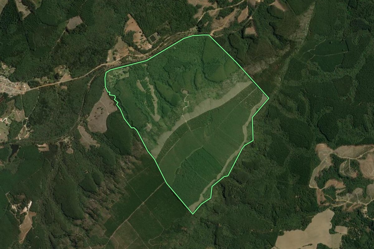 Imagem de satélite do imóvel rural em Bom Sucesso de Itararé (SP), com o contorno declarado no CAR desenhado por cima.