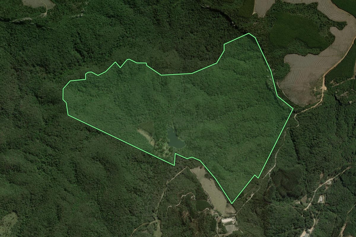 Imagem de satélite do imóvel rural em Bom Sucesso de Itararé (SP), com o contorno declarado no CAR desenhado por cima.