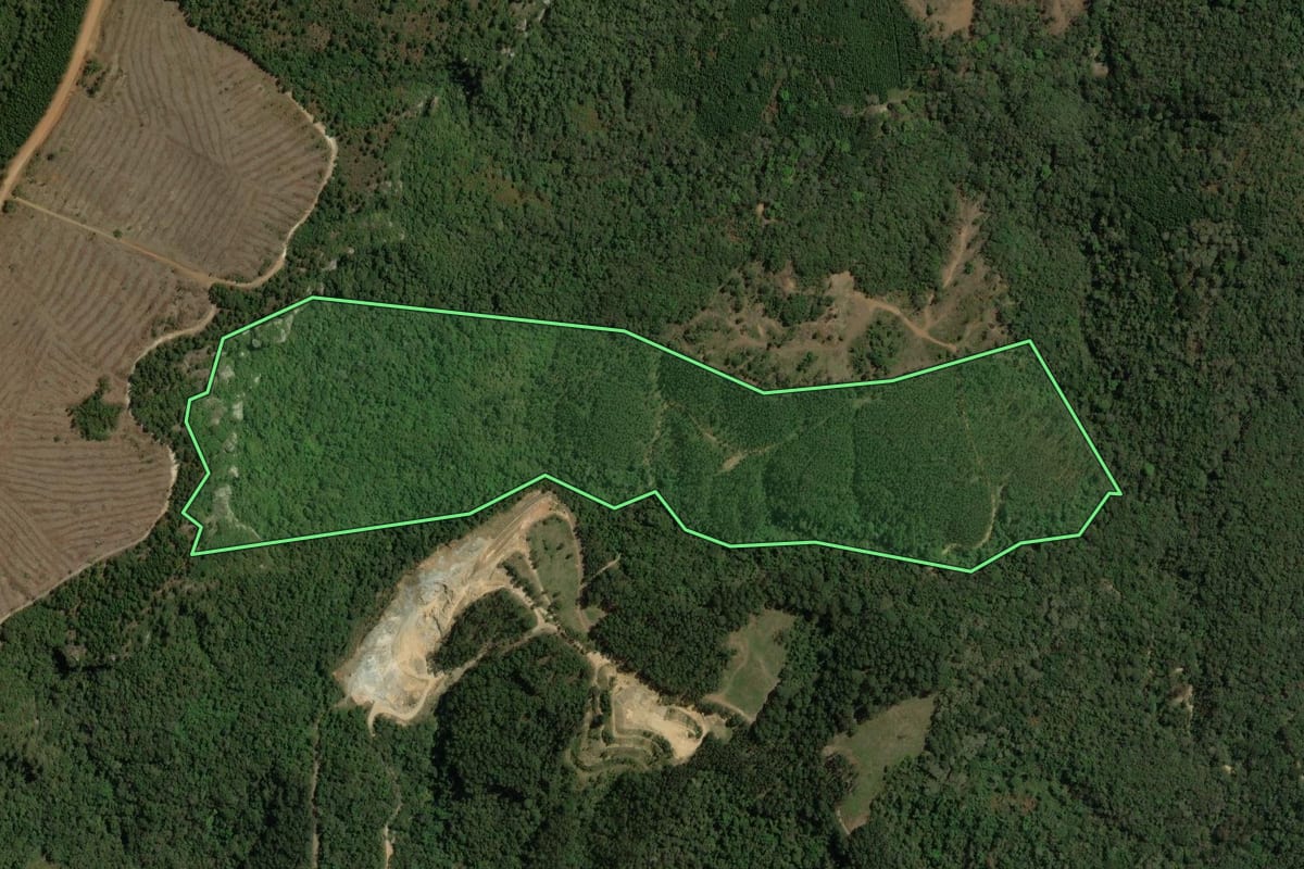Imagem de satélite do imóvel rural em Bom Sucesso de Itararé (SP), com o contorno declarado no CAR desenhado por cima.