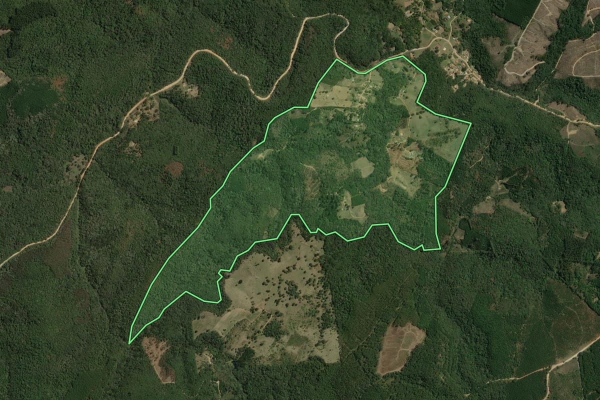 Imagem de satélite do imóvel rural em Bom Sucesso de Itararé (SP), com o contorno declarado no CAR desenhado por cima.