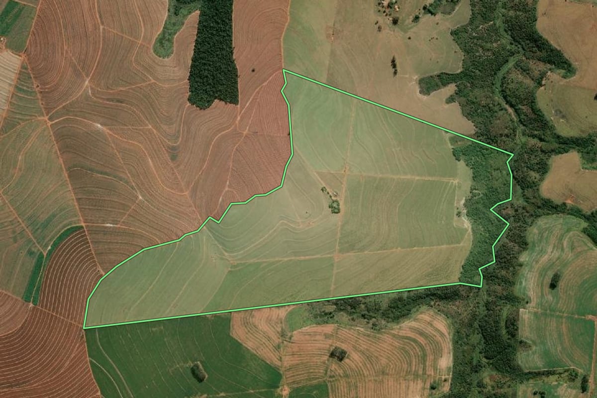 Imagem de satélite do imóvel rural em Borá (SP), com o contorno declarado no CAR desenhado por cima.
