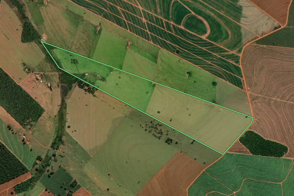 Imagem de satélite do imóvel rural em Borá (SP), com o contorno declarado no CAR desenhado por cima.