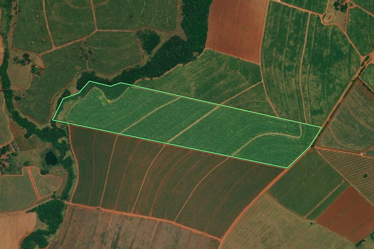 Imagem de satélite do imóvel rural em Borborema (SP), com o contorno declarado no CAR desenhado por cima.