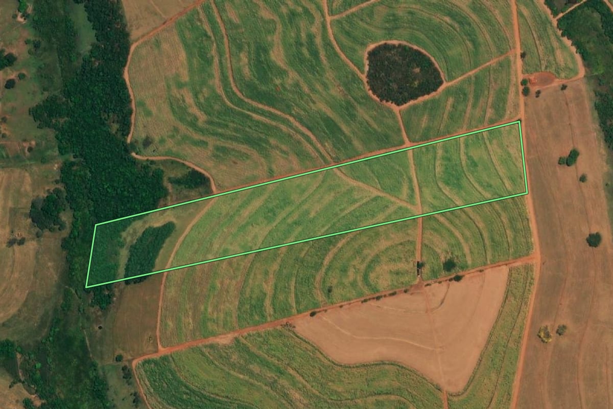 Imagem de satélite do imóvel rural em Borborema (SP), com o contorno declarado no CAR desenhado por cima.