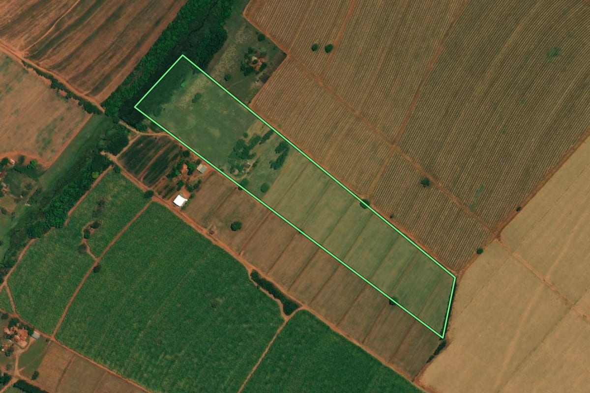Imagem de satélite do imóvel rural em Borborema (SP), com o contorno declarado no CAR desenhado por cima.