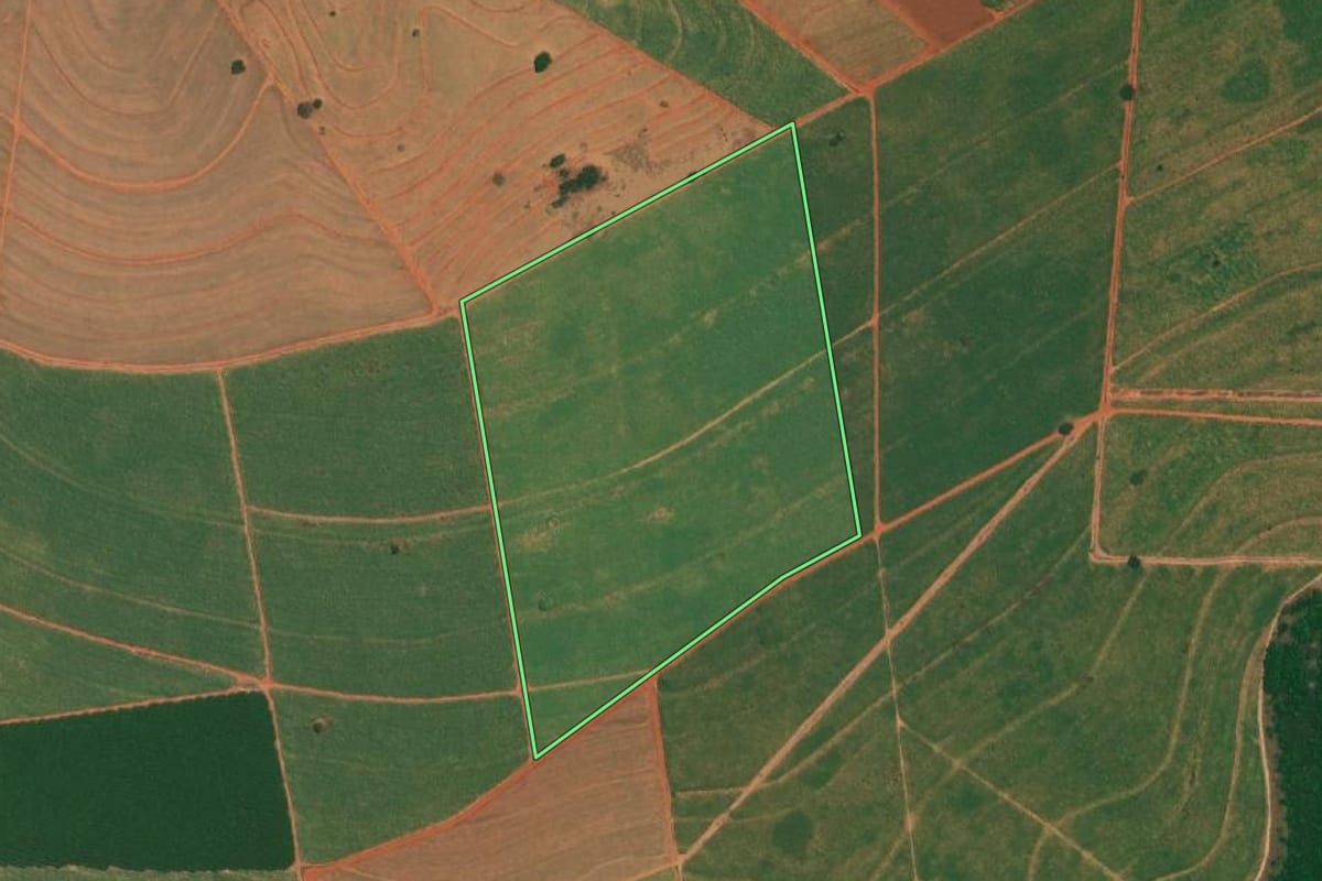 Imagem de satélite do imóvel rural em Borborema (SP), com o contorno declarado no CAR desenhado por cima.