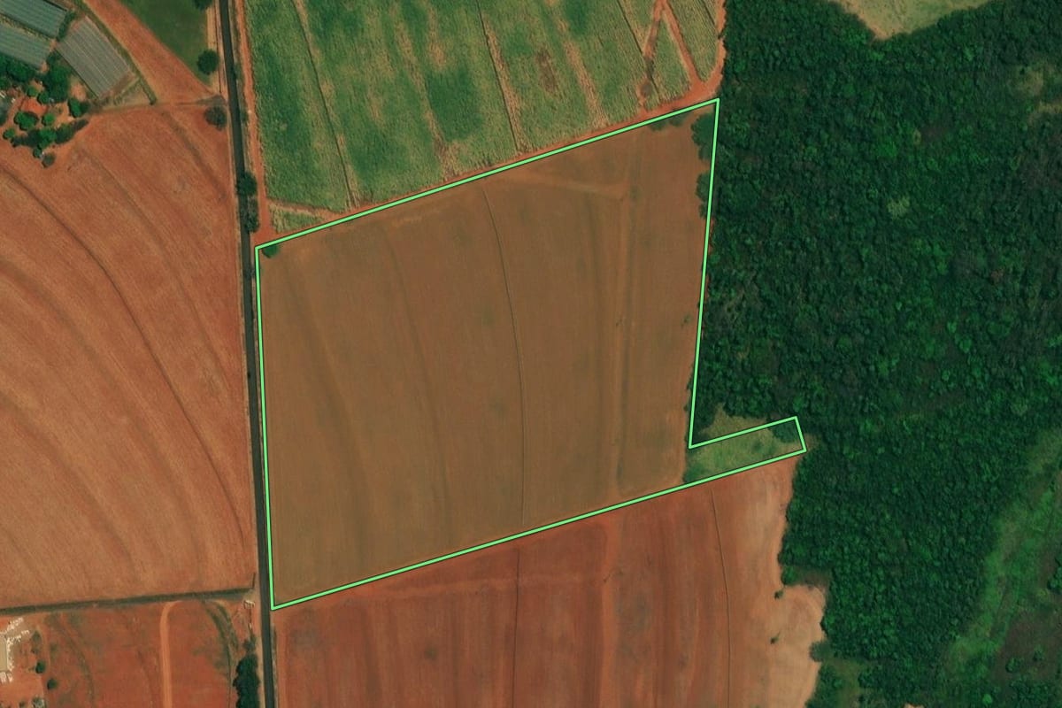 Imagem de satélite do imóvel rural em Borborema (SP), com o contorno declarado no CAR desenhado por cima.