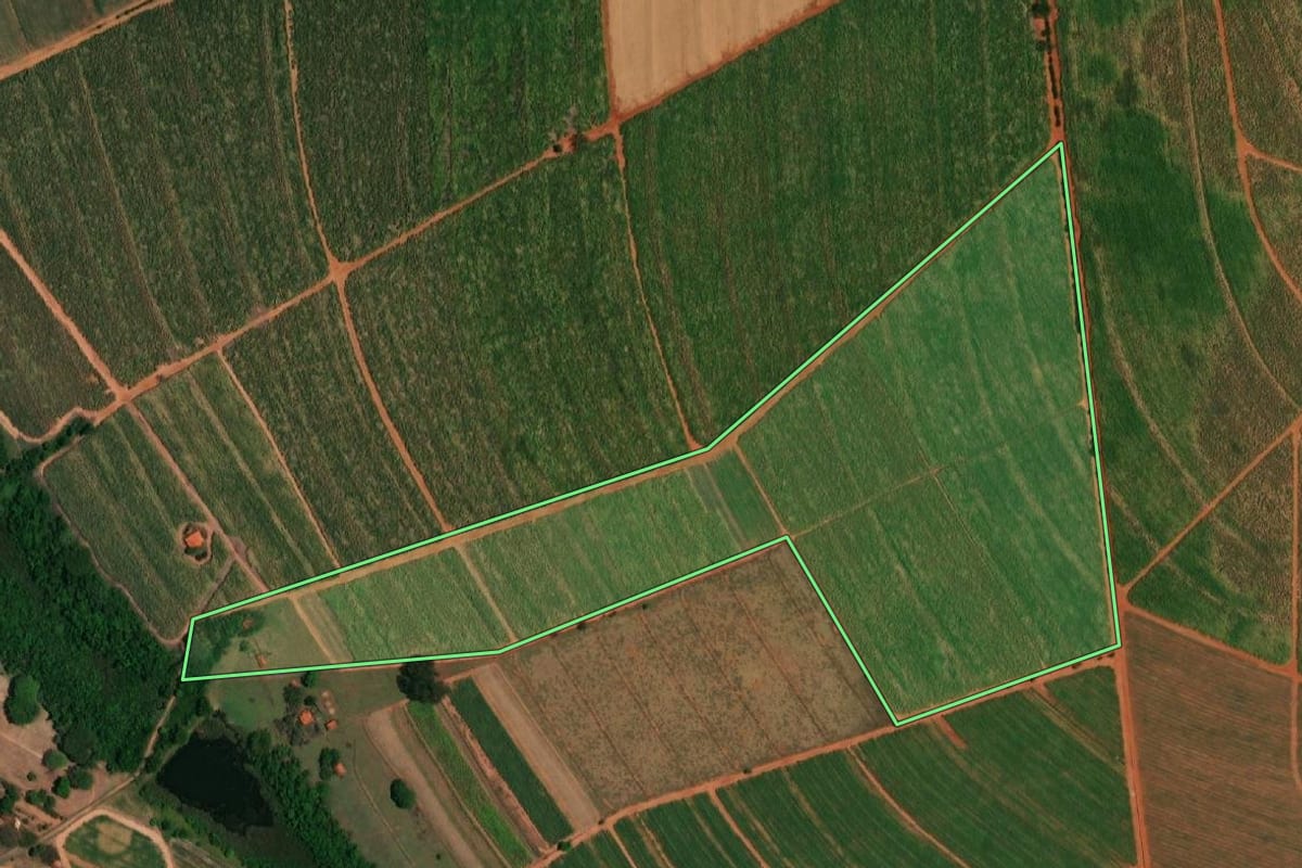 Imagem de satélite do imóvel rural em Borborema (SP), com o contorno declarado no CAR desenhado por cima.