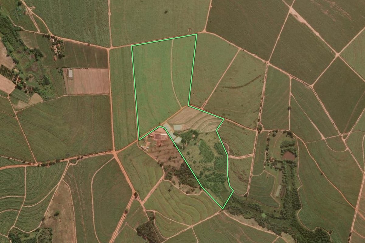 Imagem de satélite do imóvel rural em Borborema (SP), com o contorno declarado no CAR desenhado por cima.