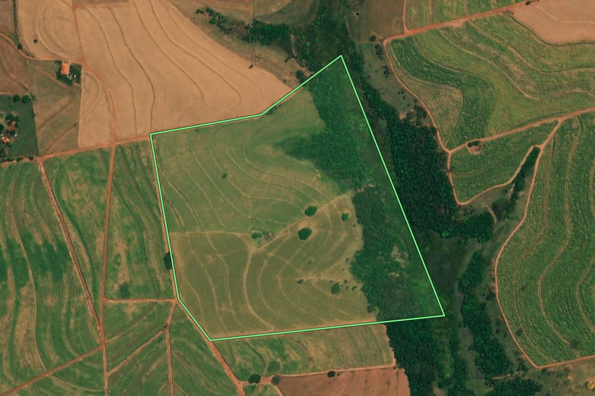 Imagem de satélite do imóvel rural em Borborema (SP), com o contorno declarado no CAR desenhado por cima.