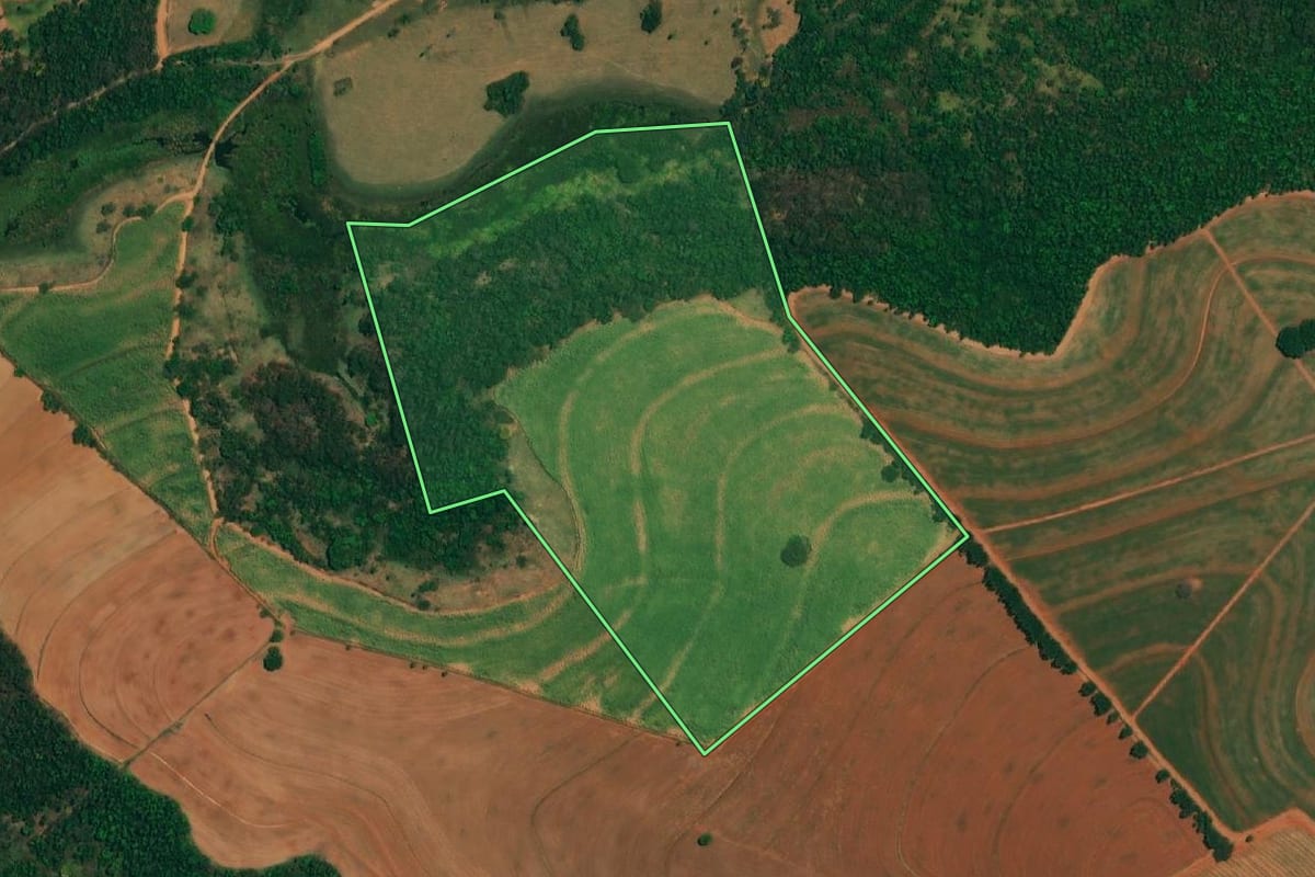 Imagem de satélite do imóvel rural em Borborema (SP), com o contorno declarado no CAR desenhado por cima.