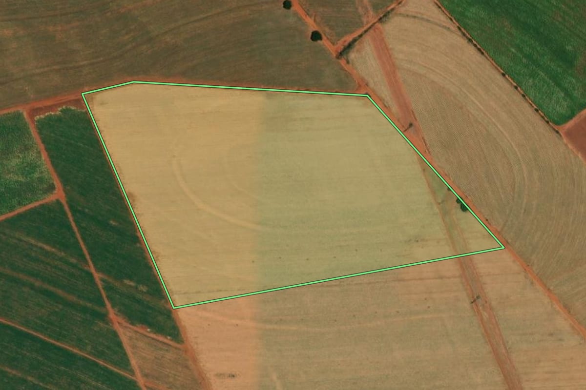 Imagem de satélite do imóvel rural em Borborema (SP), com o contorno declarado no CAR desenhado por cima.