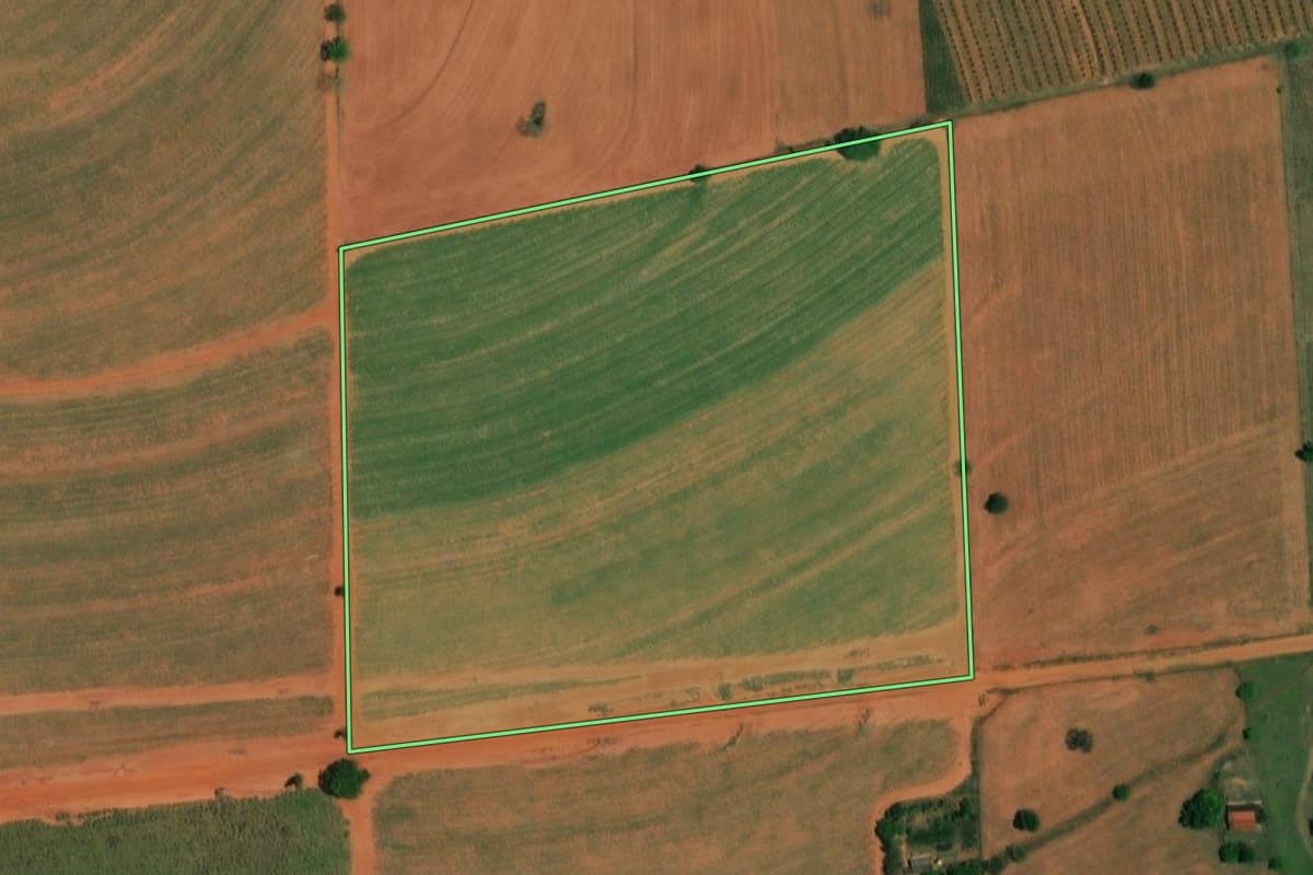 Imagem de satélite do imóvel rural em Borborema (SP), com o contorno declarado no CAR desenhado por cima.