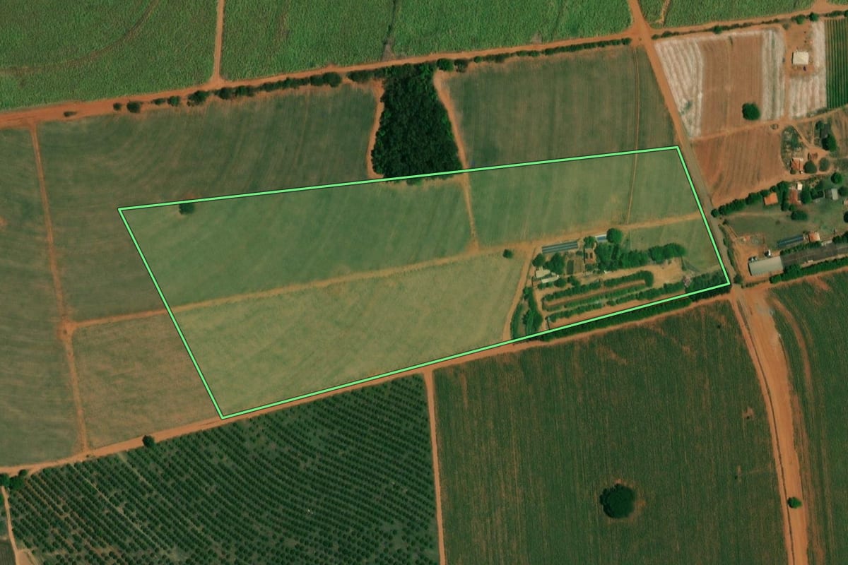 Imagem de satélite do imóvel rural em Borborema (SP), com o contorno declarado no CAR desenhado por cima.