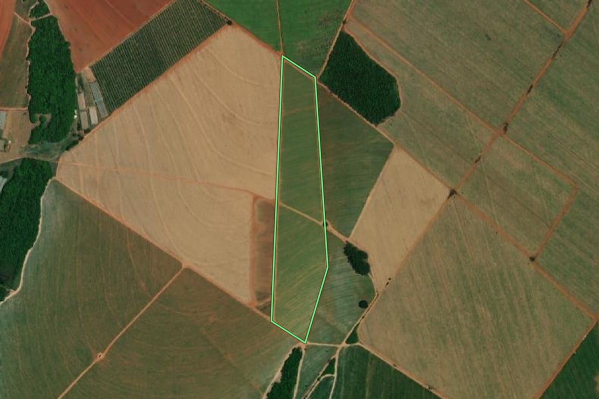 Imagem de satélite do imóvel rural em Borborema (SP), com o contorno declarado no CAR desenhado por cima.