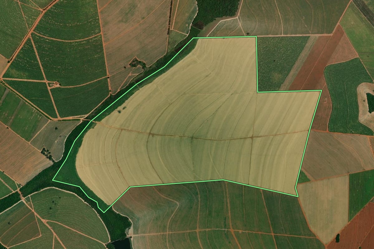 Imagem de satélite do imóvel rural em Borborema (SP), com o contorno declarado no CAR desenhado por cima.