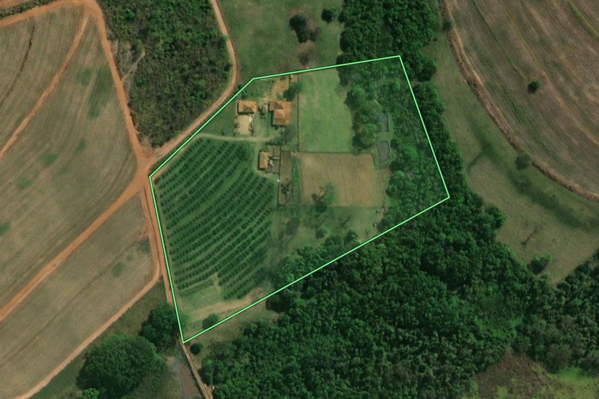 Imagem de satélite do imóvel rural em Borborema (SP), com o contorno declarado no CAR desenhado por cima.