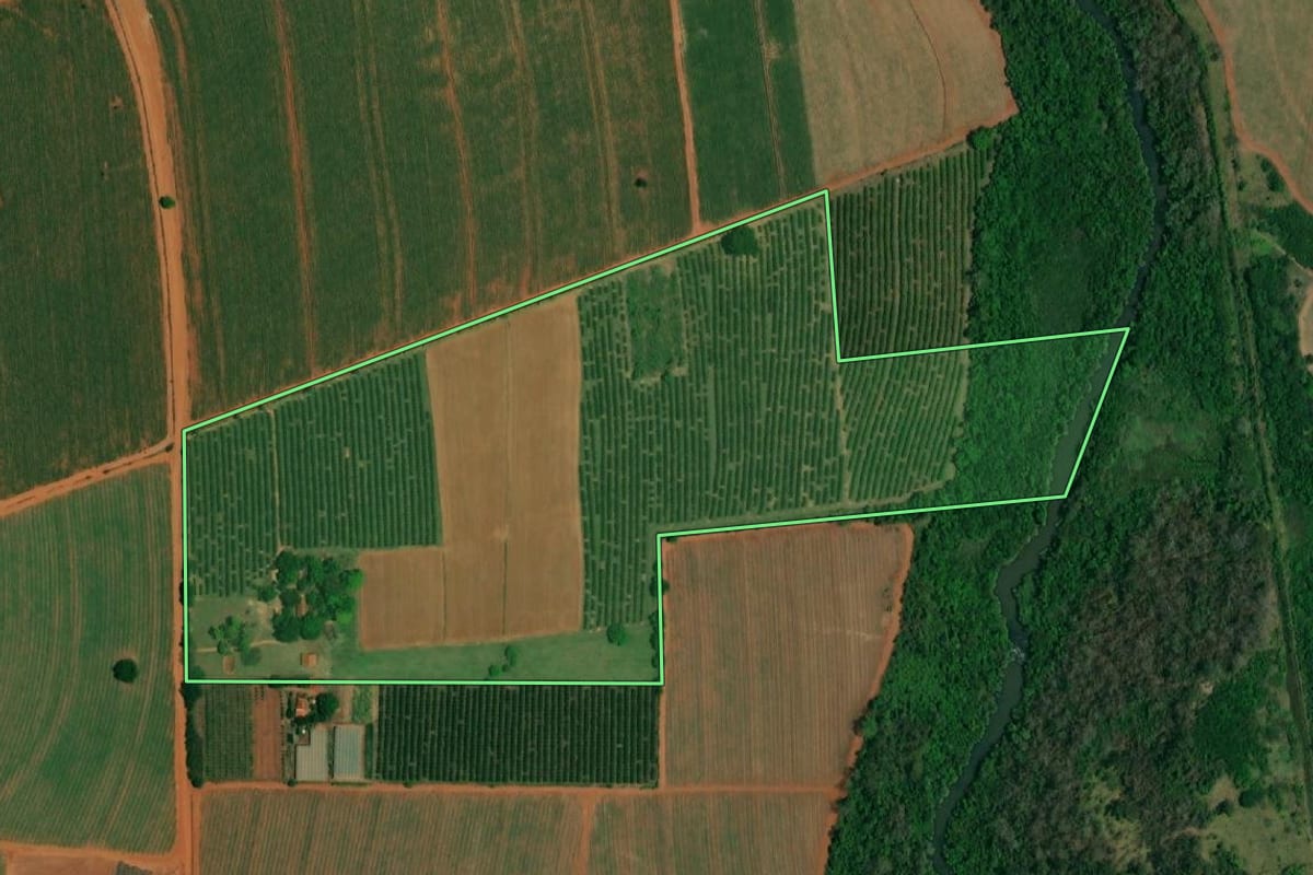 Imagem de satélite do imóvel rural em Borborema (SP), com o contorno declarado no CAR desenhado por cima.