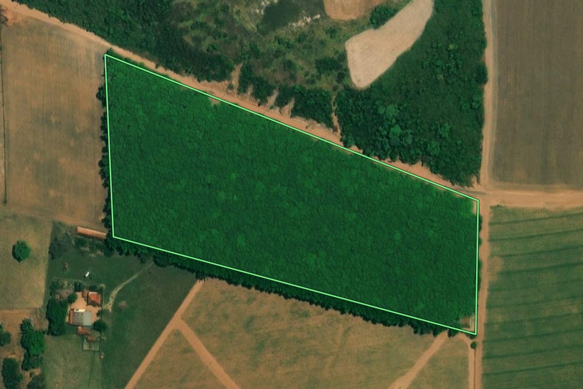 Imagem de satélite do imóvel rural em Borborema (SP), com o contorno declarado no CAR desenhado por cima.