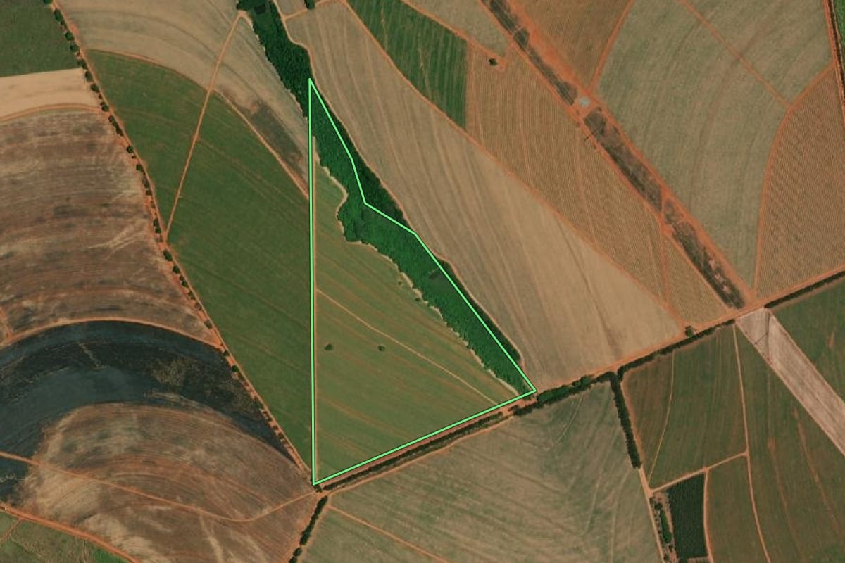 Imagem de satélite do imóvel rural em Borborema (SP), com o contorno declarado no CAR desenhado por cima.