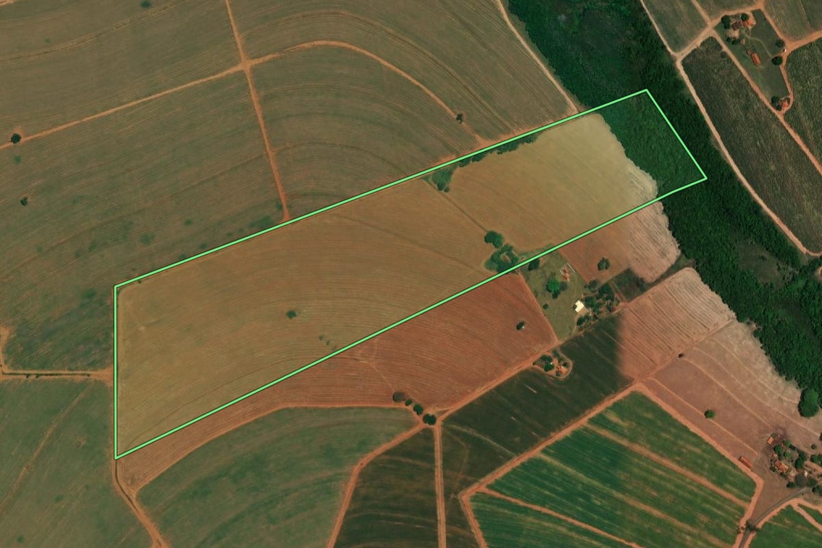 Imagem de satélite do imóvel rural em Borborema (SP), com o contorno declarado no CAR desenhado por cima.