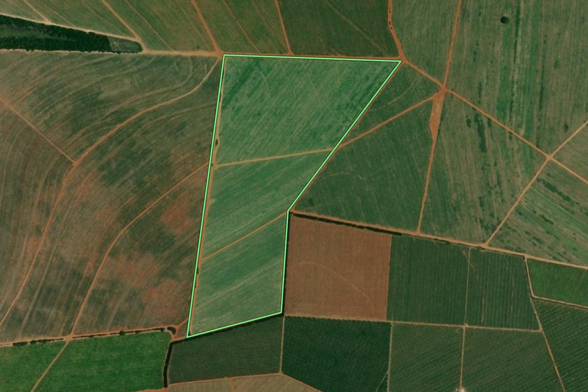 Imagem de satélite do imóvel rural em Borborema (SP), com o contorno declarado no CAR desenhado por cima.