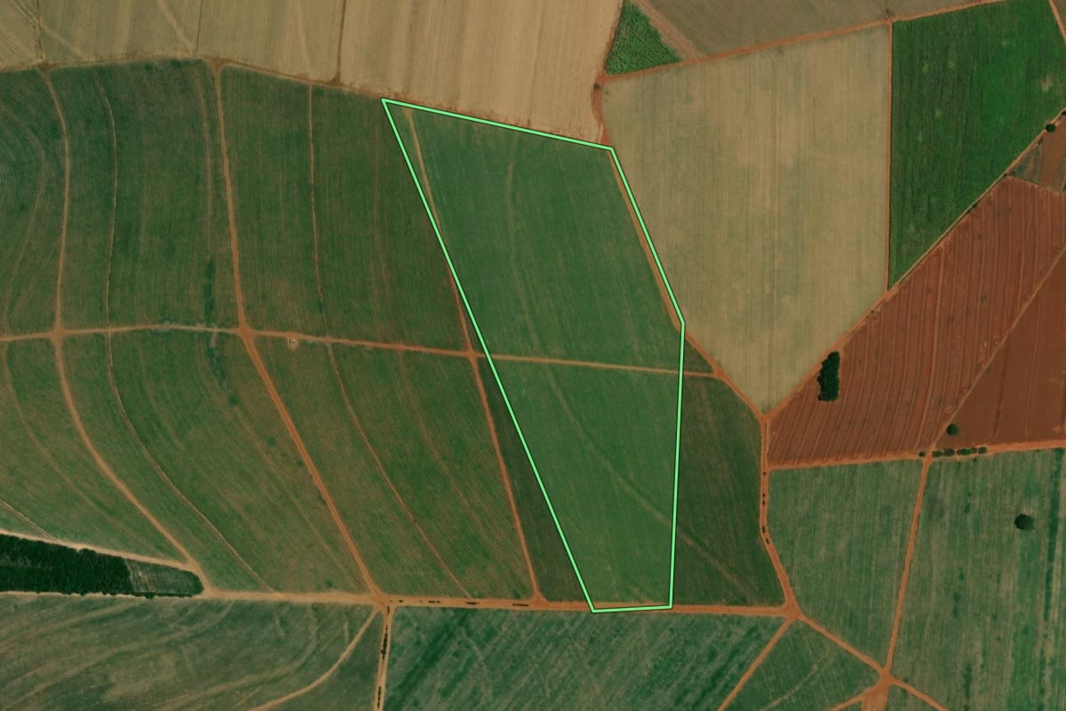 Imagem de satélite do imóvel rural em Borborema (SP), com o contorno declarado no CAR desenhado por cima.
