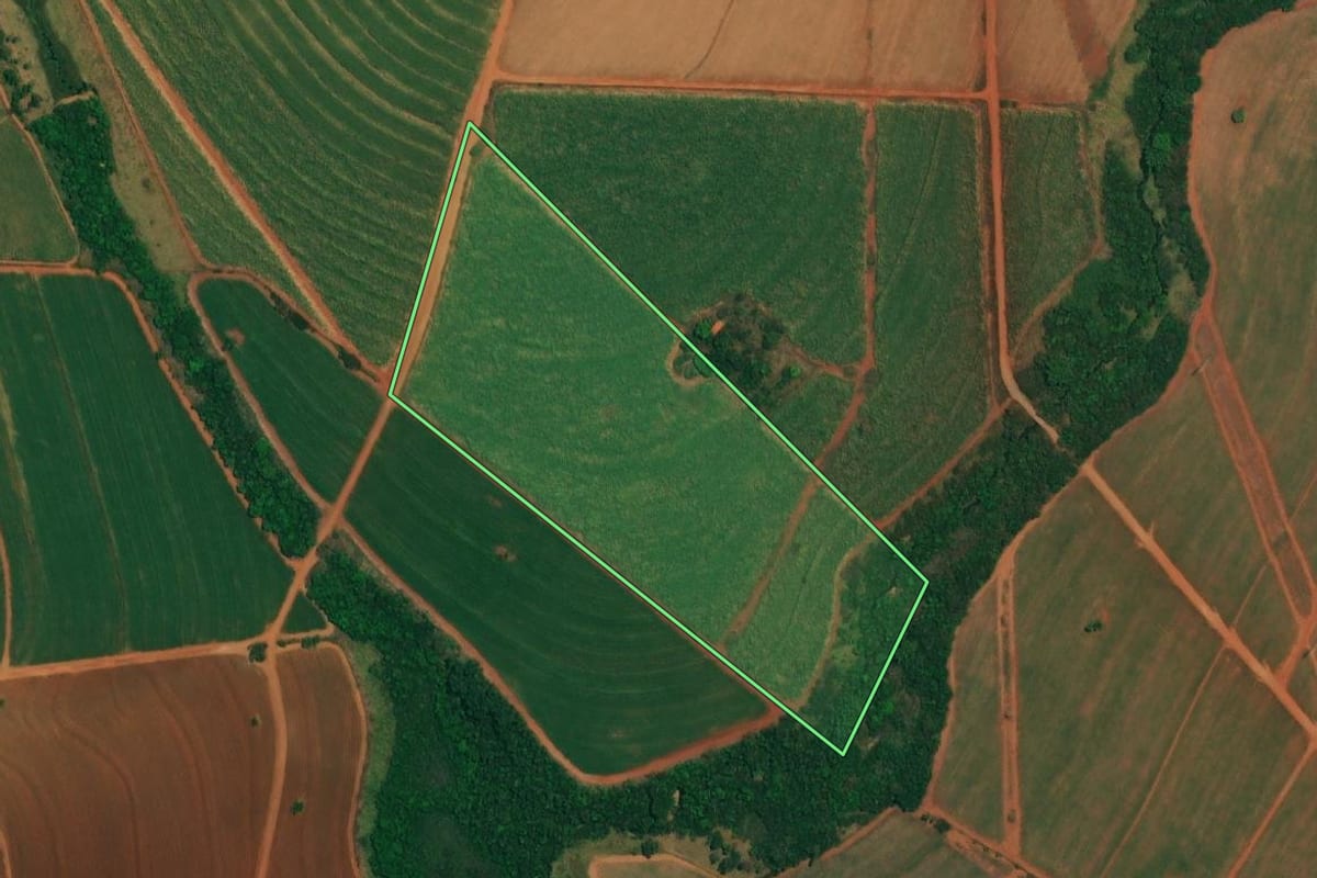 Imagem de satélite do imóvel rural em Borborema (SP), com o contorno declarado no CAR desenhado por cima.