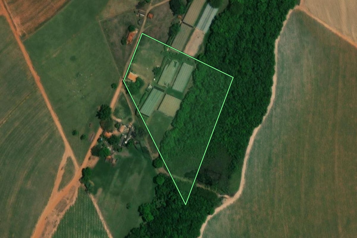 Imagem de satélite do imóvel rural em Borborema (SP), com o contorno declarado no CAR desenhado por cima.