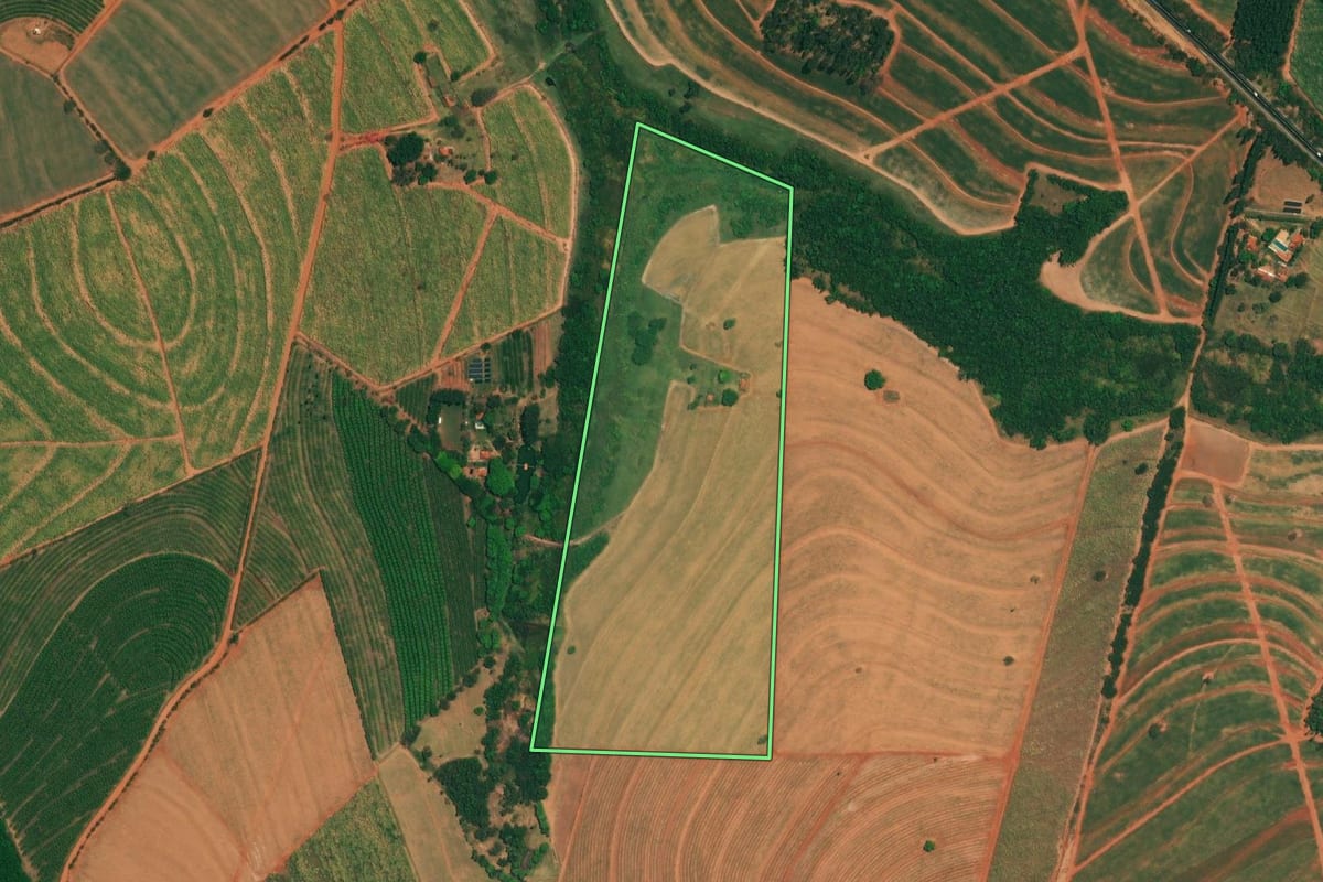 Imagem de satélite do imóvel rural em Borborema (SP), com o contorno declarado no CAR desenhado por cima.