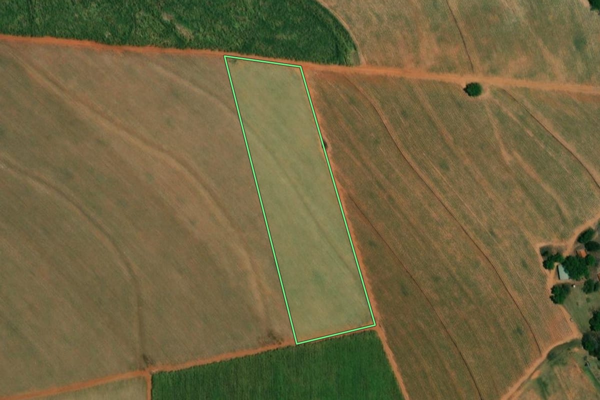 Imagem de satélite do imóvel rural em Borborema (SP), com o contorno declarado no CAR desenhado por cima.