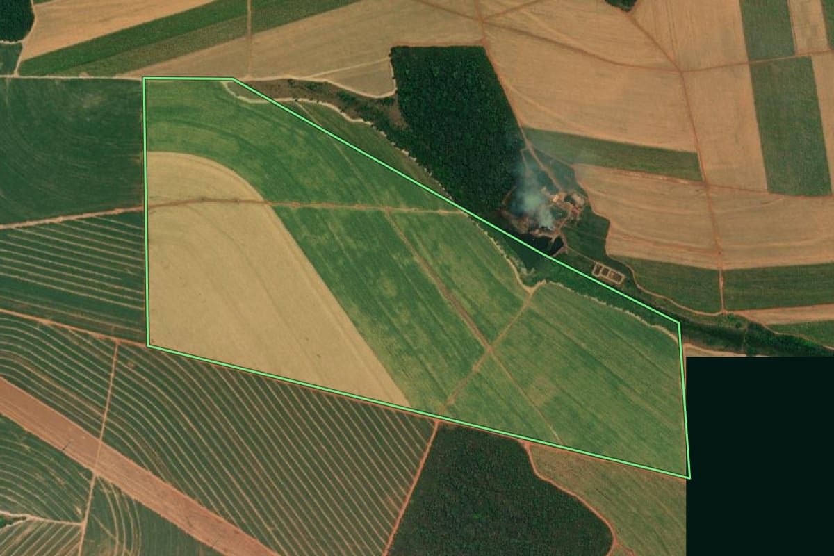 Imagem de satélite do imóvel rural em Borborema (SP), com o contorno declarado no CAR desenhado por cima.