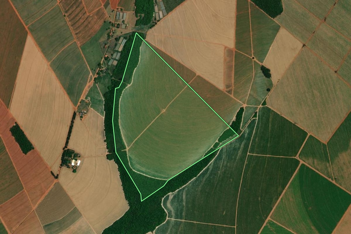 Imagem de satélite do imóvel rural em Borborema (SP), com o contorno declarado no CAR desenhado por cima.