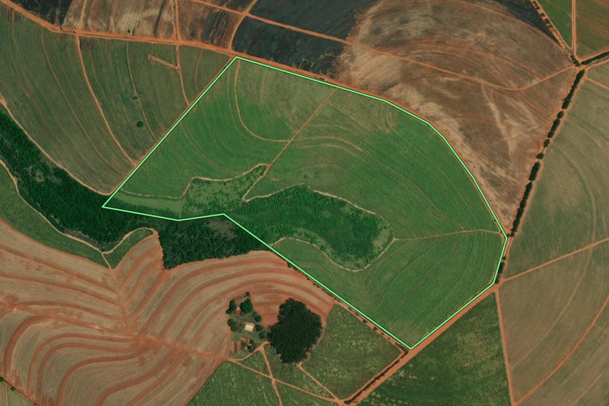 Imagem de satélite do imóvel rural em Borborema (SP), com o contorno declarado no CAR desenhado por cima.