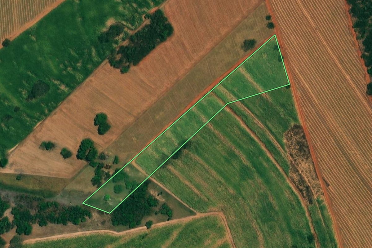 Imagem de satélite do imóvel rural em Borborema (SP), com o contorno declarado no CAR desenhado por cima.