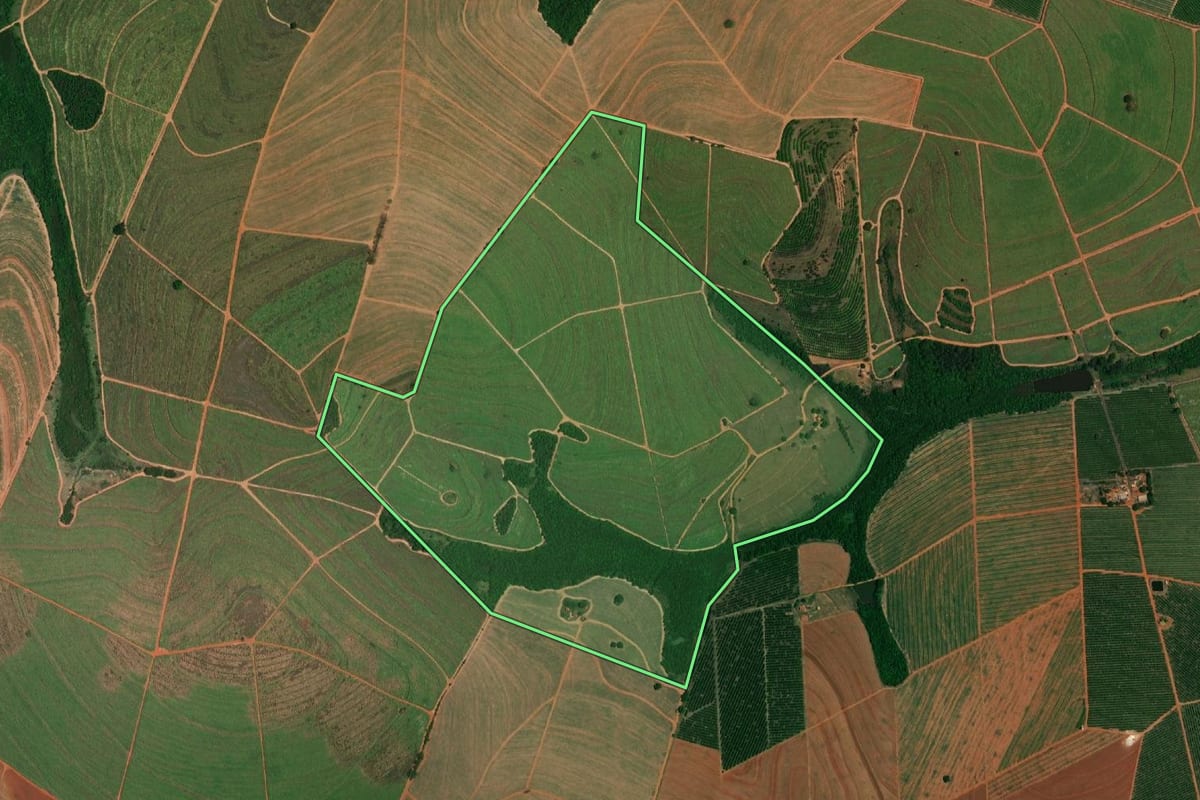 Imagem de satélite do imóvel rural em Borborema (SP), com o contorno declarado no CAR desenhado por cima.
